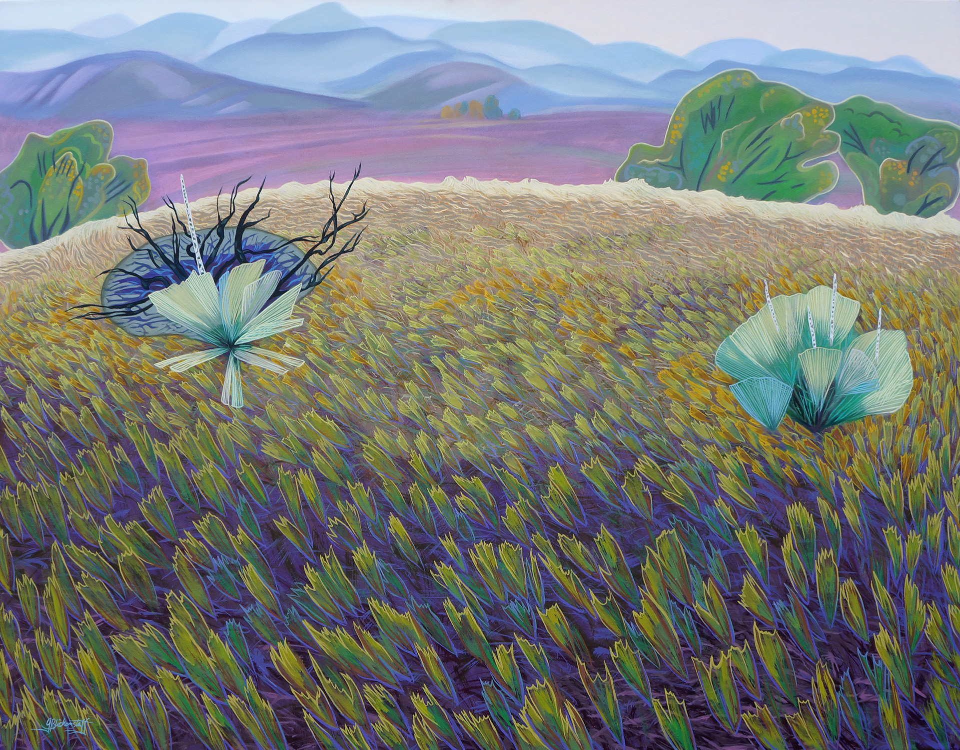 Hillside Yucca