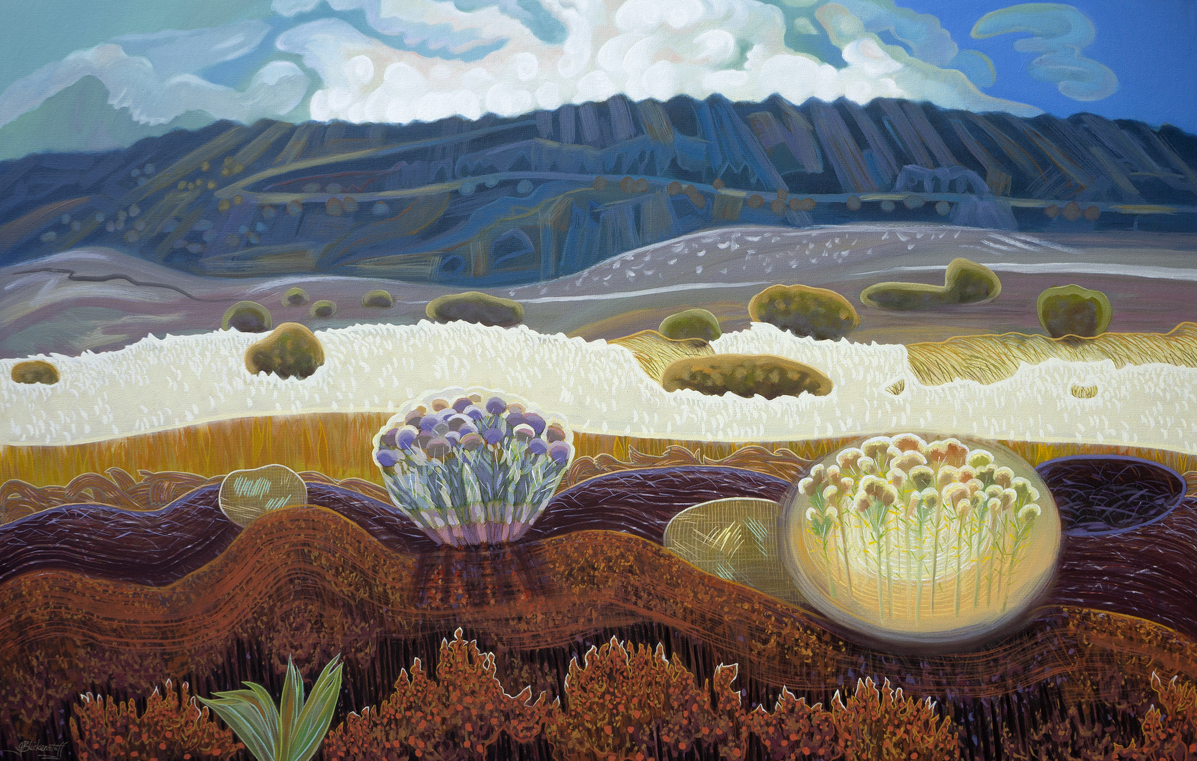 Dixon Meadow #1