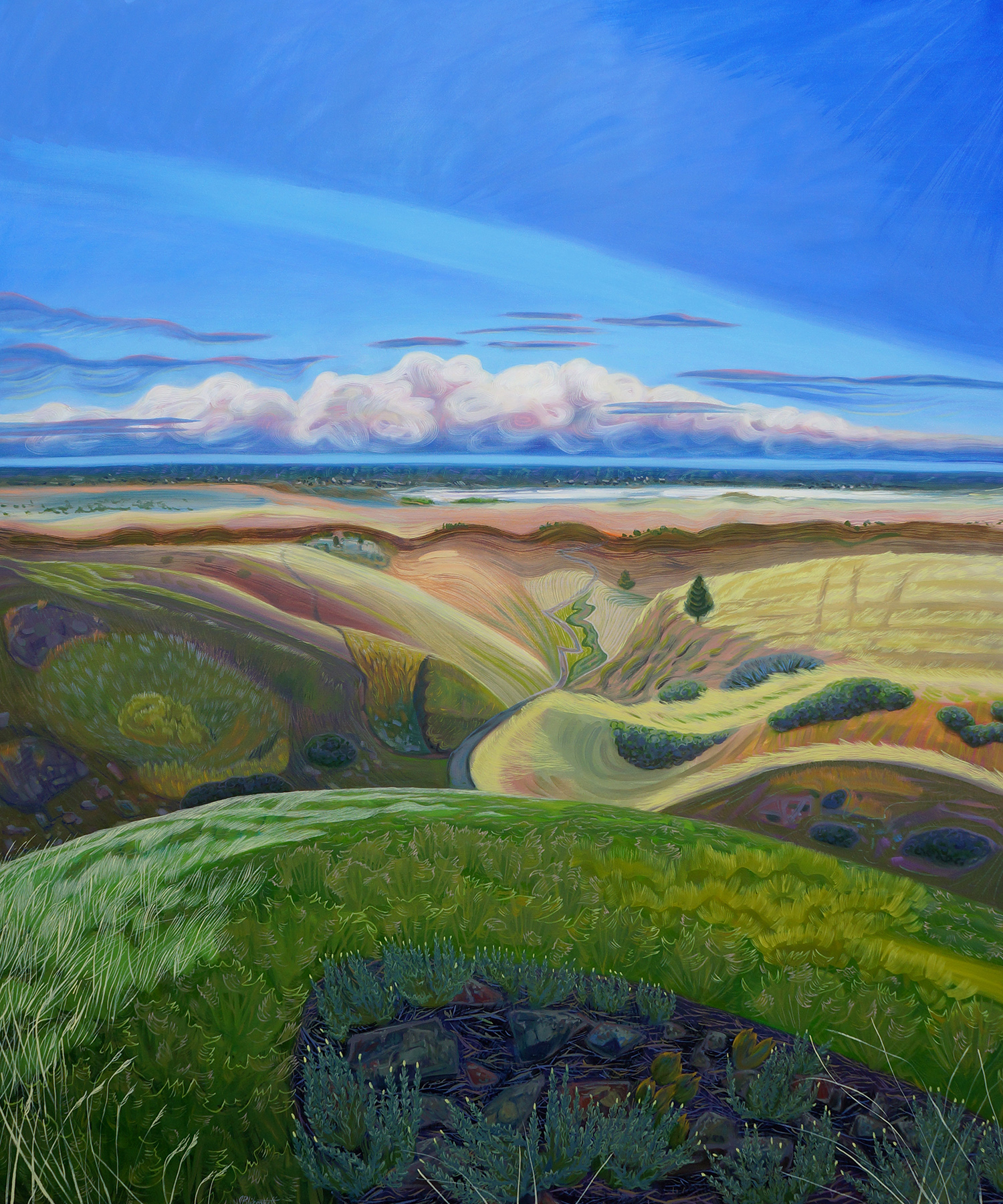 View From Foothills Trail